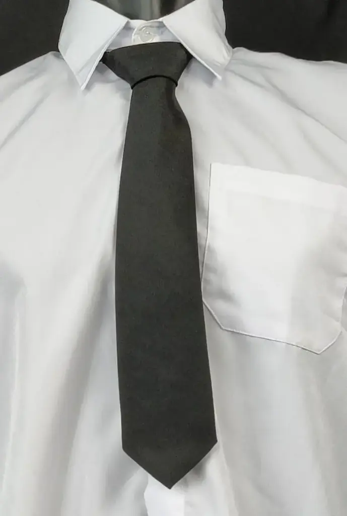 Dasi Panjang